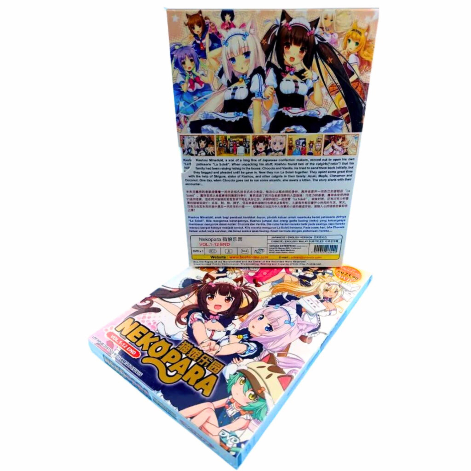 ANIME DVD~ENGLISH DUBBED~Tonikaku Kawaii Season 2(1-12End)All region+FREE  GIFT