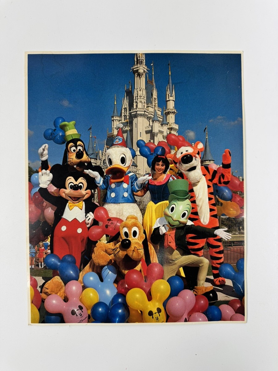 Vtg Cinderella Castle Photo Print Postcard Walt Disney World 1984