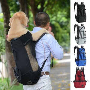 dog holding backpack