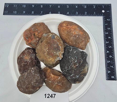 BOTSWANA AGATE 4lb rough Lot -Old stock material.  XL Full Skin Nodules Lapidary - Bild 4 von 4