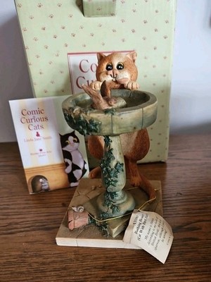 Comic Neugierige Katzen Badende Schönheit