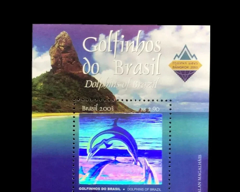 Delfín Spinner (Stenella longirostris) Brasil 2003 Isla Fernando de Noronha Foto 3 de 3