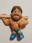 WWE Funko Mystery Minis HACKSAW JIM DUGGAN Walmart Exclusive figure