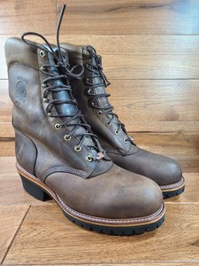 chippewa crazy horse