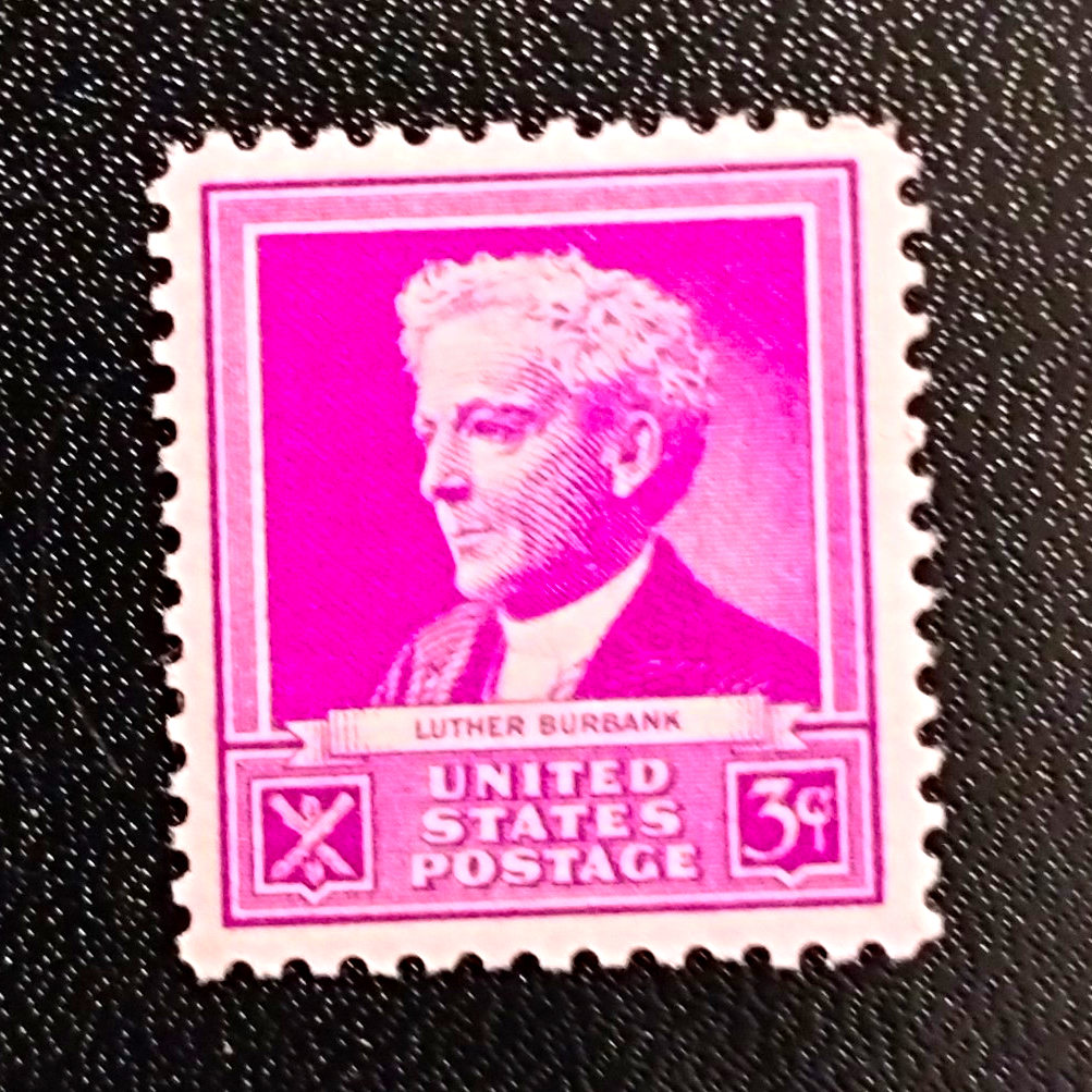 US Postage 3 Cent Luther Burbank Historical Figure Purple Stamp MNH Single