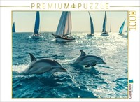Calvendo Puzzle Dolphins And Sailboats | 1000 Pieces, Finished Size 25.2 × 18.9
