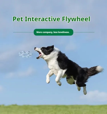 Pet Interactive Flywheel Dog Toy Fun Tug Play Spinner for Training Exercise Bond