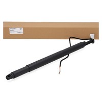Diederichs HeckklappendäMpfer Elektrisch FüR BMW X6 F16 F86 Rechts 51247318652