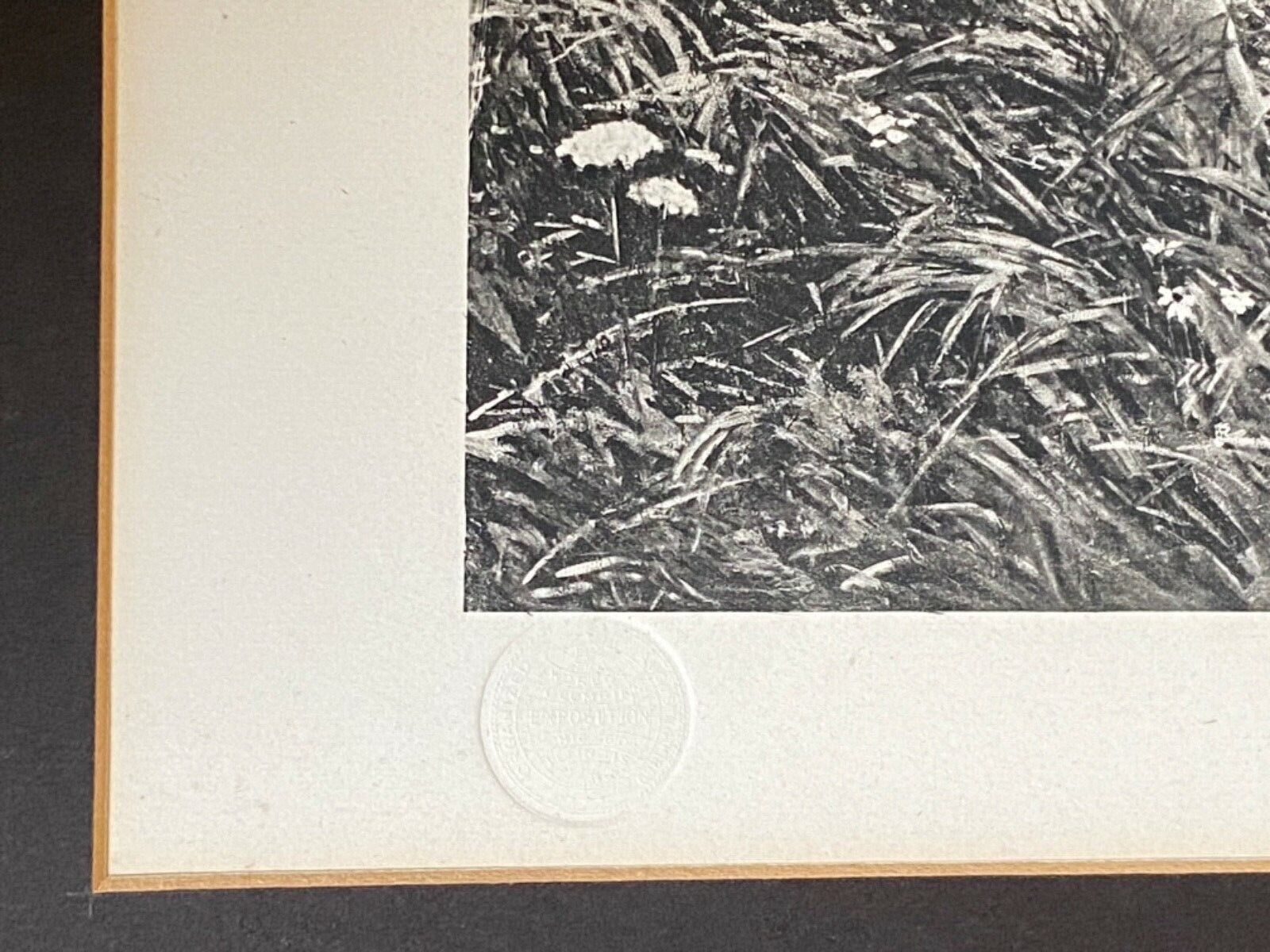 Picture 9 of 11