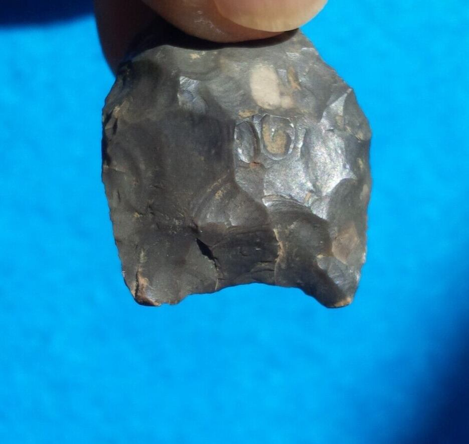 13/16" PALEO HARDAWAY BLADE SOUTH CAROLINA ARROWHEAD Authentic Indian