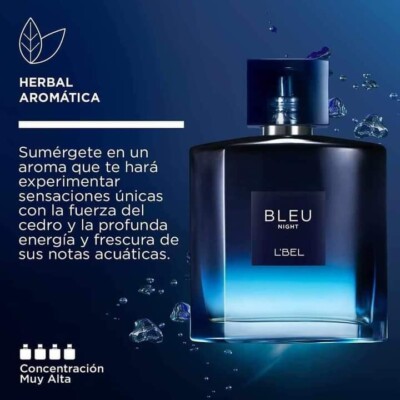 BLEU NIGHT (HERBAL SCENT) LONG LASTING 100ML PARFUM SPRAY BY L'BEL SEALED BOX 