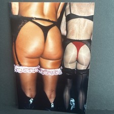 Lingerie Party Photo Hot Girls Posing Artist Risqué Erotica #53