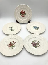 Spode England Bermuda Flowers 9" Luncheon Plates 5 Pc Plumbago Hibiscus Bignonia