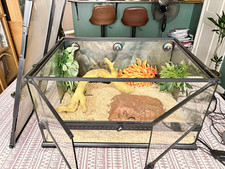 Exo Terra Glass Reptile Vivarium with Mesh Lid, Substrate, Plants & Control Unit