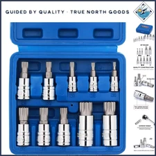 Heavy-Duty 10-Piece XZN Spline Bit Socket Set for Cr-V & S2 Steel Mastery