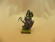 Warhammer painted Dara Elf Dreadlord