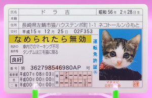 Nameneko | eBay