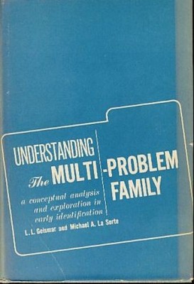 Understanding the Multi-Problem Family: A Conceptual Analysis and Exploration in