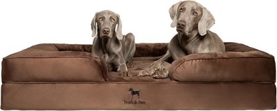 NOAH & PAW Giant Dog Bed XXL, 55x45x11 Inch, Orthopedic Dog Beds, Eggshell Memor