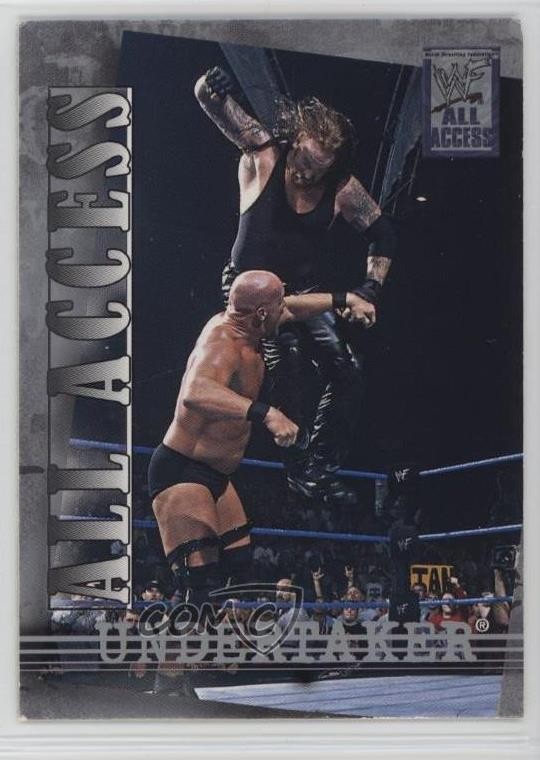 2002 Fleer WWF All Access Undertaker #33 3dc