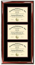 Triple Diploma Frame Certificate University College Document Degree University