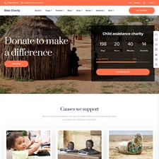 Charity Websites Design for Sale with Free VPS Web Hosting