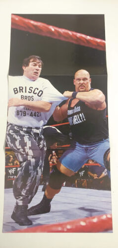 23" x 11" WWE WWF lutte double face pierre froide Steve Austin Brisco - Photo 1/2