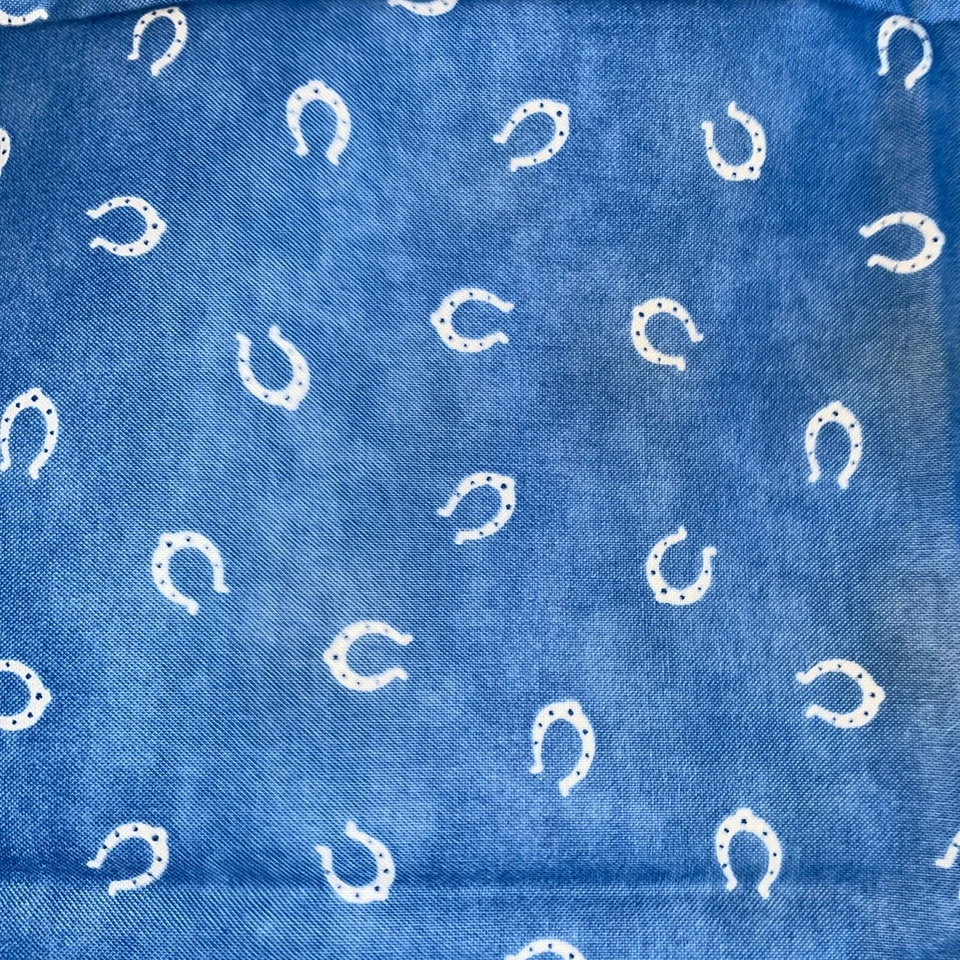 100% cotton quilting fabric Johnny & Buck Chloe’s Closet For Moda Fab - Image 3 of 4