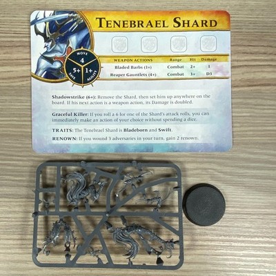 TENEBRAEL SHARD WARHAMMER QUEST SILVER TOWER HERO DARK ELF DAUGHTERS OF KHAINE