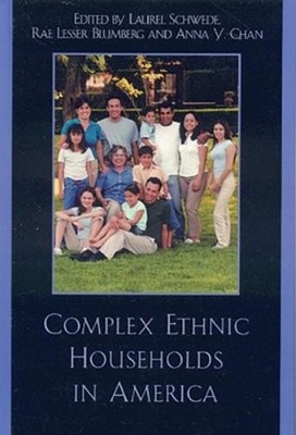 Bernadette J. Holmes Complex Ethnic Households in America (Hardback) (UK IMPORT)