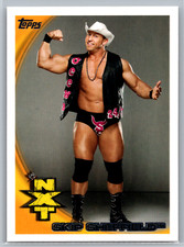 Skip Sheffield 2010 Topps WWE Base Set Card #66 Ryback Rookie Year