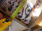 Bild 5 von 12