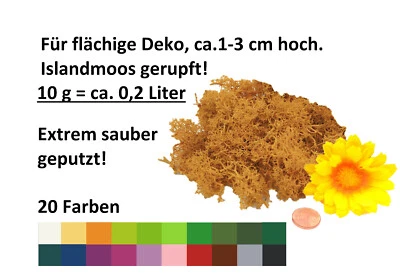 Muwse ohne Dreck 10g gerupft Rentier - Islandmoos haltbar gefärbt Krippe Ostern