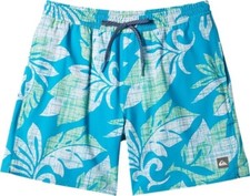 NEW Quiksilver Mens Everyday EL MORO 17" Volley Boardshorts swim shorts XL GREEN