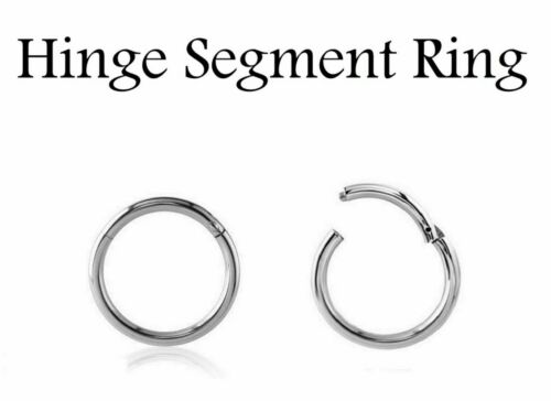 PAIR Thinnest 20G 1/4" Steel HINGED Segment Nose Ring Septum Clicker Daith Hoop - Picture 1 of 2