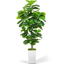Artificial Fiddle Leaf Fig Tree 6ft, 6 Feet Large Tall Fake Plants Indoor wit...