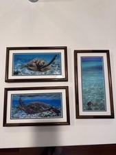 Set (3) Victoria McCormick Hawaiian Sea Turtle Photos Authentic Koa Wood Frames