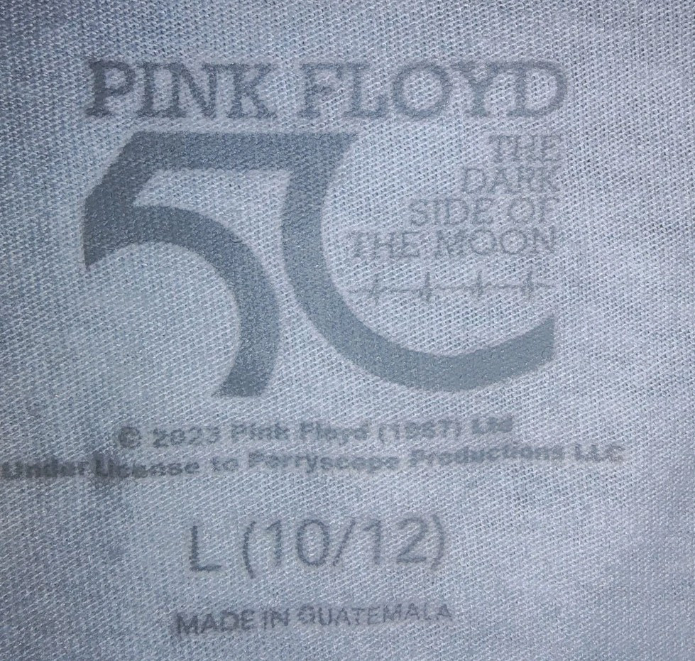 Pink Floyd Graphic T Shirt Unisex/ Teens L 10/12 