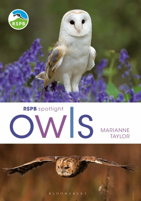 RSPB Spotlight Owls by Marianne Taylor (Paperback Book)