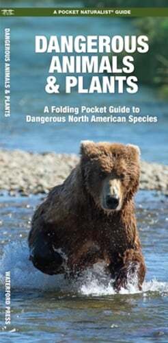 Discover North America's Dangerous Animals & Plants with a Compact Folding Pocket Guide