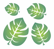 Stencils by Joanie Monstera Tropical Split Leaf Beach Plant Home DIY Art Signs