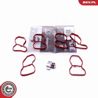 Esen SKV Reparatursatz Saugrohrmodul 49SKV516 FüR BMW 5Er Turismo F07 7Er F01 X5
