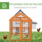 Foto 7 di 10