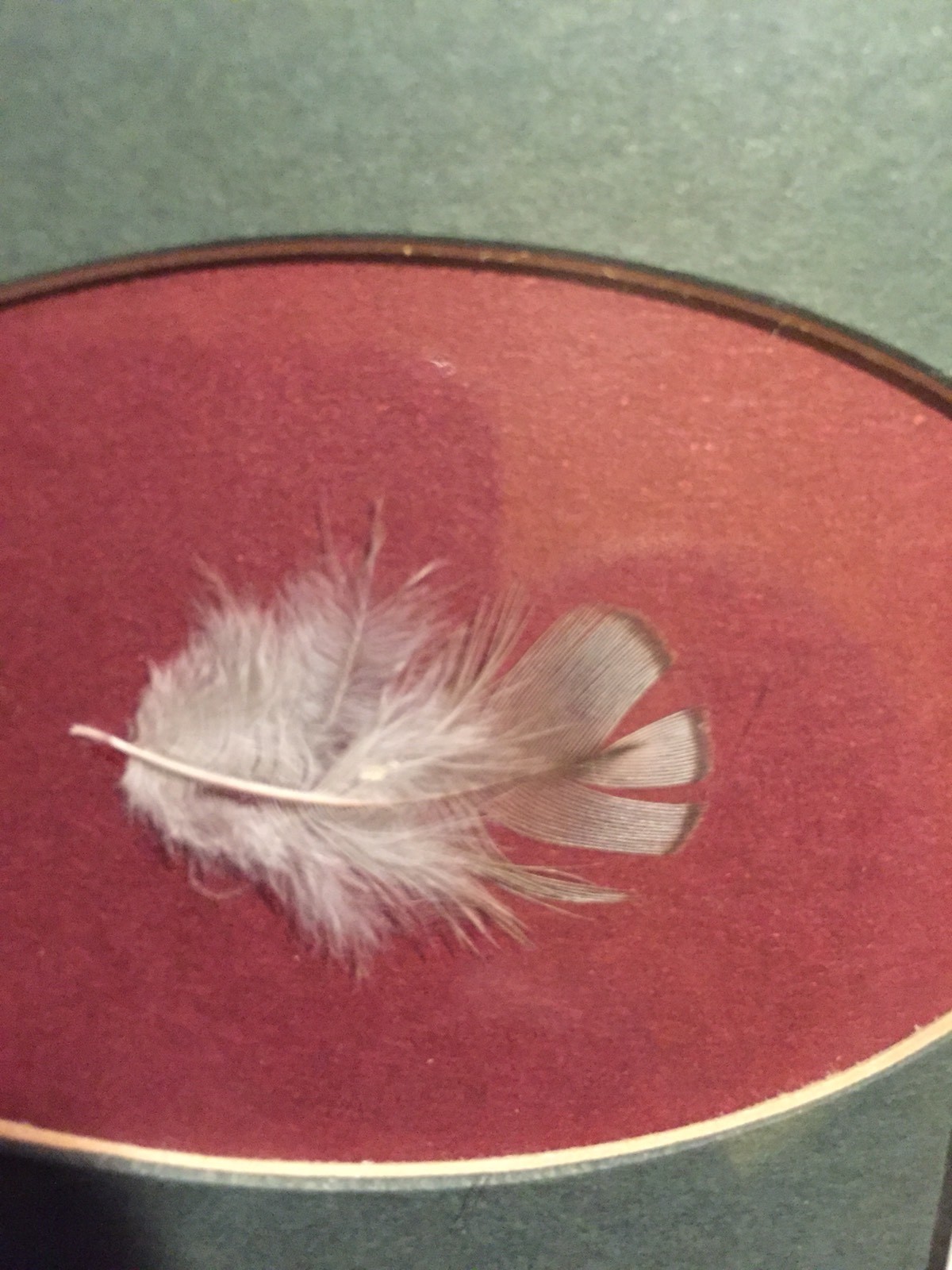 Picture 4 of 5