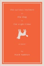 The Curious Incident of the Dog in the Night-Time: A Novel - VERY GOOD