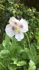 Bild 9 von 9