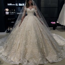 Champagne Wedding Dresses Ball Gown Appliques Strapless Bridal Dress Train