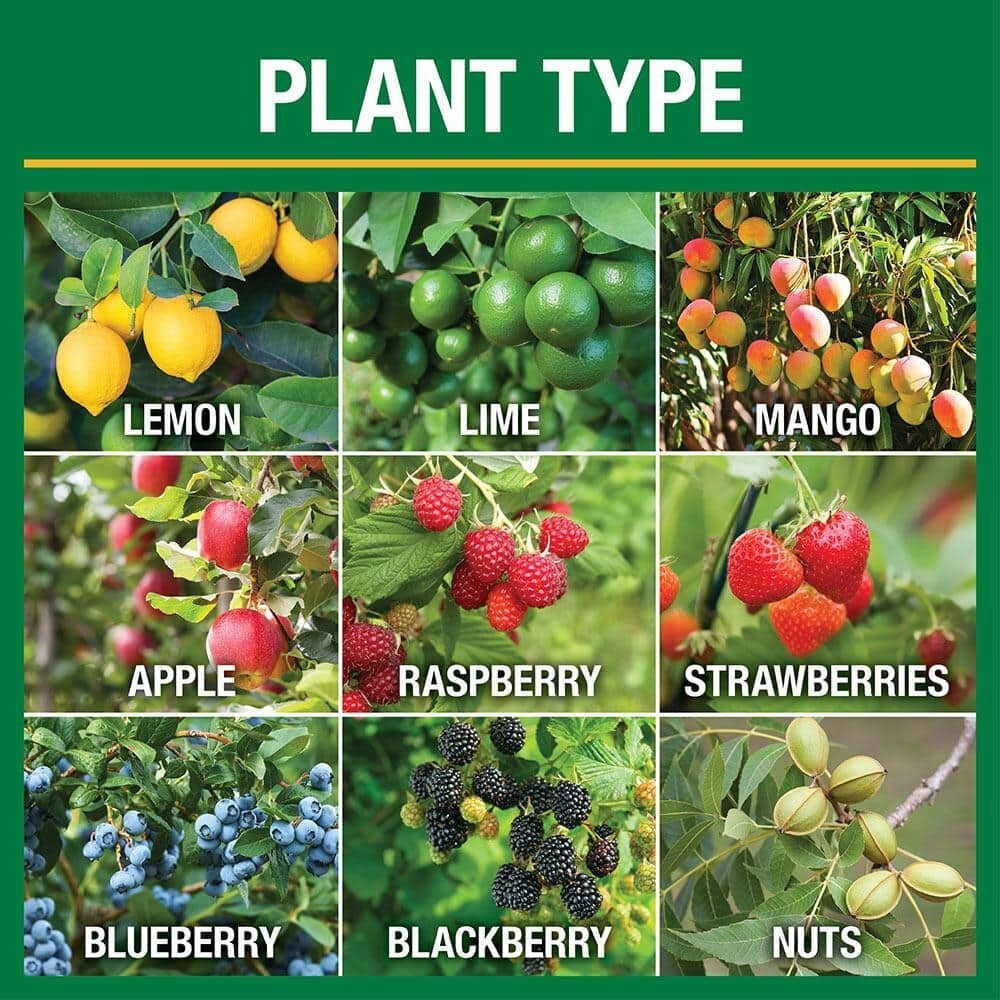 FRUiTS　no30 Vigoro 4.2 lb. All Season Fruit, Nut and Citrus Fertilizer
