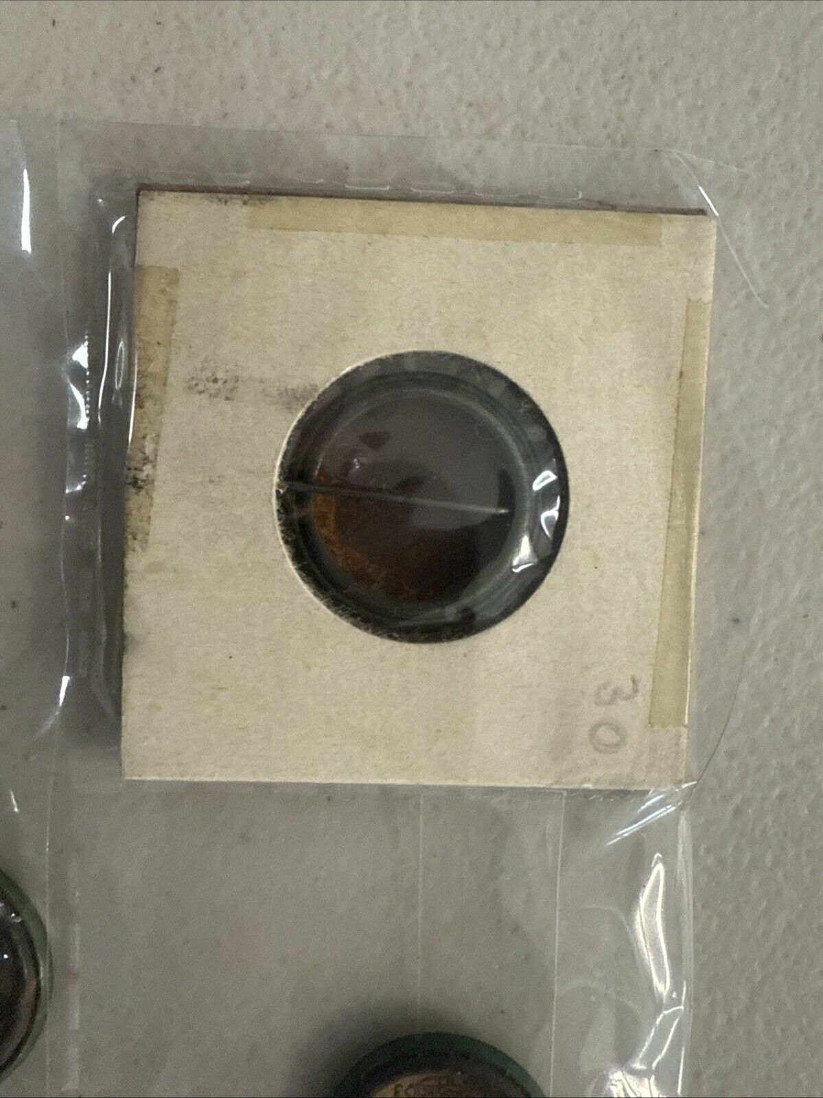 Picture 8 of 8