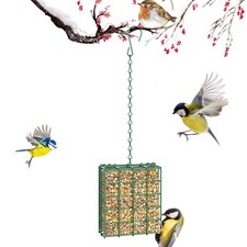 FLINTER Bird Feeder for Outdoors, Suet Feeder Hanging Bird Feeder, Hanging fo...
